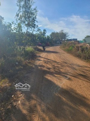 bán đất 9338m2, hẻm quốc lộ 55, đường đất, giá 1.2 tỷ, xã tân xuân, huyện hàm tân