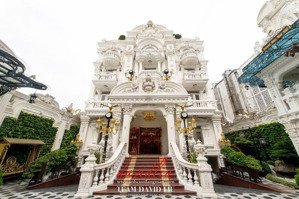 biệt thự măt tiền đường trần văn kiểu,p10 quận 6 - sát bên q1.