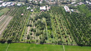 diện tích 10.199m2 vườn bưởi thái có 600m2 đất thổ cư, thích hợp làm vườn hệ sinh thái.