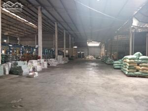 Cho thuê kho xưởng tại thành phố Hải Dương