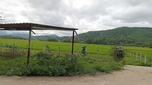 Đất Hòa Vang: View Cánh Đồng Mênh Mông, Đường Ô Tô, Giá Chỉ 590 Triệu!