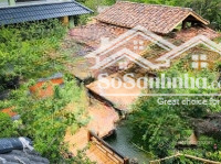 bán homestay mộc châu sơn la - mua về chỉ việc vận hành, khu vực giá tăng từng ngày, giá 24.5 tỷ