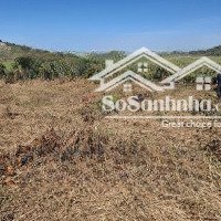 cần bán lô đất view đẹp nghỉ dưỡng tại di linh, lâm đồng giá rẻ