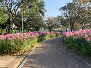 CHO THUÊ NHÀ TRONG KHU ĐÔ THỊ VSIP QUẢNG NGÃI - GIÁ 15TR/ THÁNG- LH 034. 846. 8889