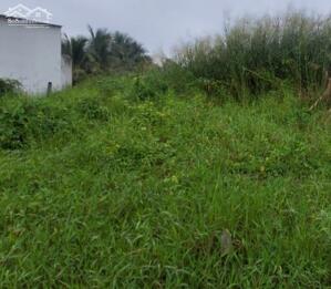 ĐẤT CHO THUÊ MẶT TIỀN QL57B - GIAO LONG️CHÂU THÀNH️BẾN TRE