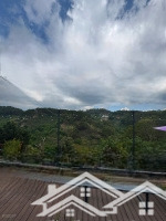 cho thuê homestay đẹp đường đặng thái thân, phường 3, đà lạt