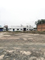 cho thuê 8000m2 kho xưởng trảng bàng, tây ninh