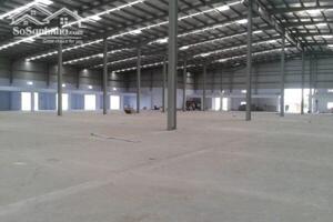 Cho thuê kho xưởng 4700 m² tại cụm công nghiệp Bình Đức, Châu Thành, Tiền Giang