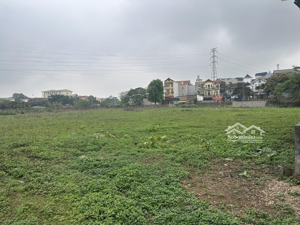 kho, nhà xưởng cho thuê tại dương đình nghệ, giá thỏa thuận, 16000 m2, cầu giấy, hn