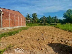 đất đẹp miễn chê tại thầy cai, (bến tre), 110m2, sổ hồng chính chủ, công chứng trong ngày