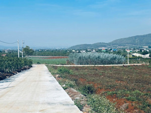 bán đất nền 169m2 tại xã liên hiệp, đức trọng, lâm đồng, 980 triệu