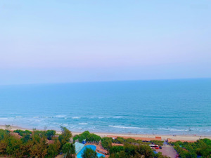 nguyễn hiếu dic - bán căn hộ 1 phòng ngủ csj tower vũng tàu view trực diện biển. giá 2 tỷ 650 triệu