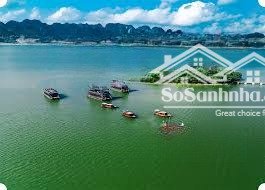 bán đất vuông đẹp cạnh tam chúc, kim bảng. đất sạch sẵn sổ sang tên ngay!