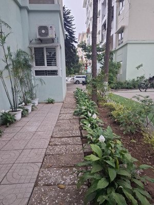 bán căn chung cư tầng 1, sử dụng như biệt thự. đối diện trung tâm thể thao quận, trường marie curie