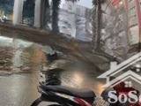 cho thuê nhà siêu phẩm mặt phố hàng chuối trong tầm giá, diện tích:100m2x 2 tầng, mặt tiền: 5,5m