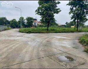 ĐẤU GIÁ KHOANG BÈO TIÊN TRƯỢNG XUÂN MAI LÔ 103M CÁCH QUỐC LỘ 6 100M