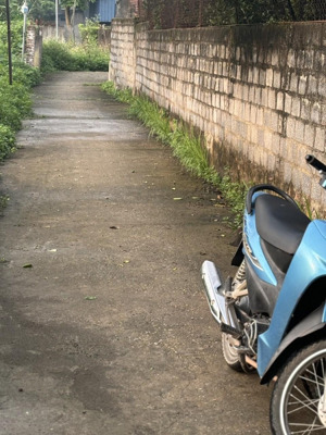 bán đất tại ninh sở thường tín hà nội