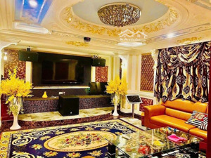 biệt thự siêu sang 259,3m² | gỗ đỏ nhập - gần công viên lê thị riêng 62 tỷ