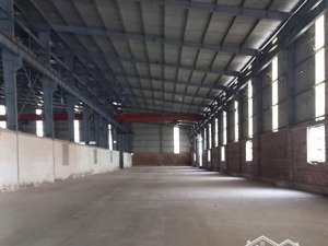 bán nhà xưởng siêu đẹp vị trí đắc địa tại phú mỹ, bà rịa - vũng tàu