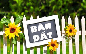 chính chủ bán đất đại lộ ninh sở thường tín- giáp vạn 3 thanh trì