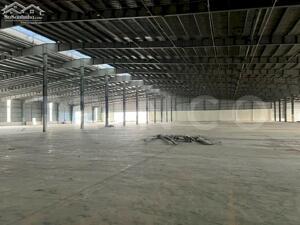 Cho thuê kho xưởng 10.000m² có PCCC tự động và trạm điện 3 pha, trong khu công nghiệp Trà Nóc, TP. Cần Thơ, lộ Container