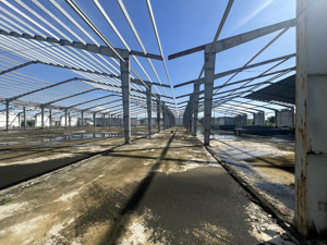 cho thuê xưởng kcn bình định 5000m2 có pccc
