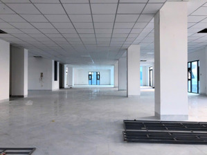 mặt bằng tầng 5 dt 500m2 giá thuê 50 triệu/th thích quảng đức vcn phước hải