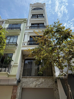 bán liền kề trần điền 50m2 tại kđt định công, giá siêu hời 16,5 tỷ