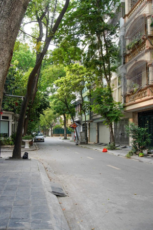cho thuê nhà liền kề tại khu đô thị định công, hoàng mai, hà nội