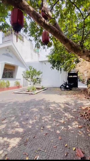 biệt thự sân vườn ngay trung tâm quận 5 - dtsd 600m2 - kinh doanh tự do