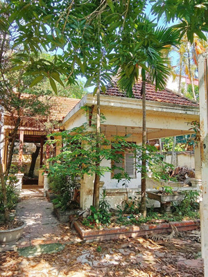 chính chủ bán biệt thự nhà vườn tại ninh sở, thường tín, dt 356.2m2, mt 18.78m, xe 4 chỗ tránh nhau