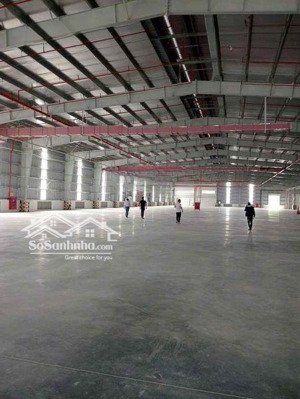 cho thuê kho xưởng khu công nghiệp tân mỹ chánh, tp mỹ tho