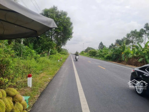 cho thuê 2.500m2 đất mặt tiền ql61c hậu giang