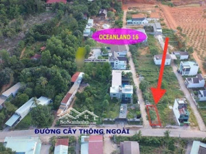 đất mặt tiền .đường cây thông ngoài .phú quốc