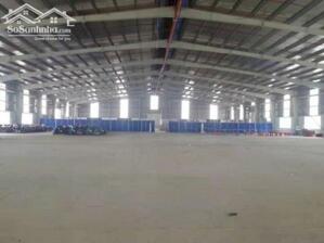 Bán xưởng mới khu công nghiệp Thành Thành Công, Tây Ninh.