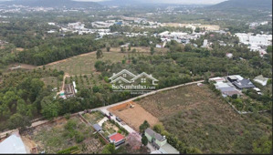 bđs phân lô dương tơ phú quốc sổ riêng có thổ cư vị trí vàng gần biển trung tâm hành chính