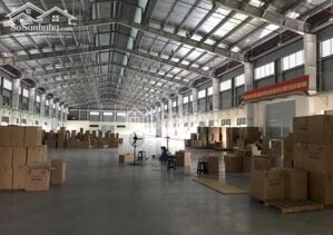  CHO THUÊ KHO LOGISTIC 1700M² – TRỌNG ĐIỂM TRONG AN ĐỒN – GIÁ CỰC TỐT CHỈ 70K/M² 