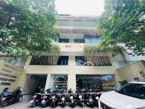 biệt thự cho thuê cách mạng tháng 8, khu cư xá tự do. dt: 10x20m. hầm 4 lầu, thang máy.