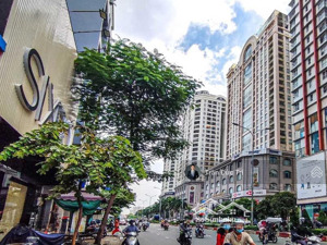 bán kho, nhà xưởng tại phố lý thường kiệt, 116,5 tỷ, 581m2, mặt tiền 23m, giá siêu hời