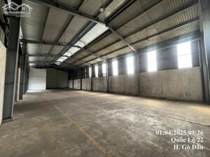 Cho thuê showroom + kho 1300m2 Gò Dầu