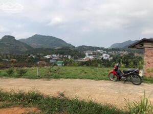 1.3 sào ql20 Bảo Lộc view đẹp, tránh nóng tuyệt vời