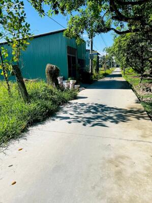 Đất nền đường ô tô, thuộc xã Phú Phong, Châu Thành, Tiền Giang