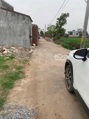 trục chính tiểu khu đông đoài phú xuyên. đuờng thông tứ tung