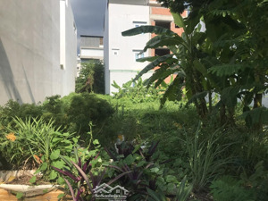 bán đất kdc phú lợi, 110m2, 4.7 tỷ, phường 7, quận 8