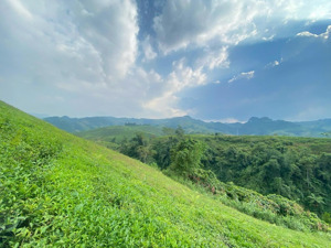chính chủ cần bán lô đất view siêu đẹp chiềng khoa, vân hồ