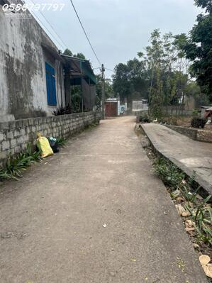 Chính chủ cần bán 369,8m2 đất vị trí đẹp tại xã An Phú, Mỹ Đức, Hà Nội, giá chỉ 15tr/m