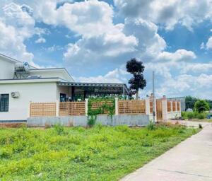 KẸT TIỀN BÁN LỖ 5 NỀN ĐẤT NGAY CHỢ 25X54=1000M2 ĐẤT THỔ CƯ SHR MT ĐƯỜNG LỚN CẠNH CHỢ DÂN ĐÔNG GIÁ 290 TR