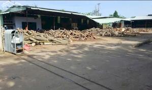 Cho Thuê Xưởng Gỗ, Ván Ép, Cưa Xẻ Tại Chơn Thành Bình Phước – Diện Tích 14.000m², Đầy Đủ Máy Móc, PCCC, Pháp Lý