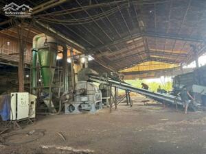 Cho Thuê Xưởng Sản Xuất Viên Nén Tại Chơn Thành, Bình Phước – Diện Tích 6.000m², Có Trạm Cân – Trạm Điện – Pháp Lý Đầy Đủ