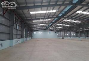 Cho Thuê Nhà Xưởng KCN Tân Kim, Cần Giuộc, Long An